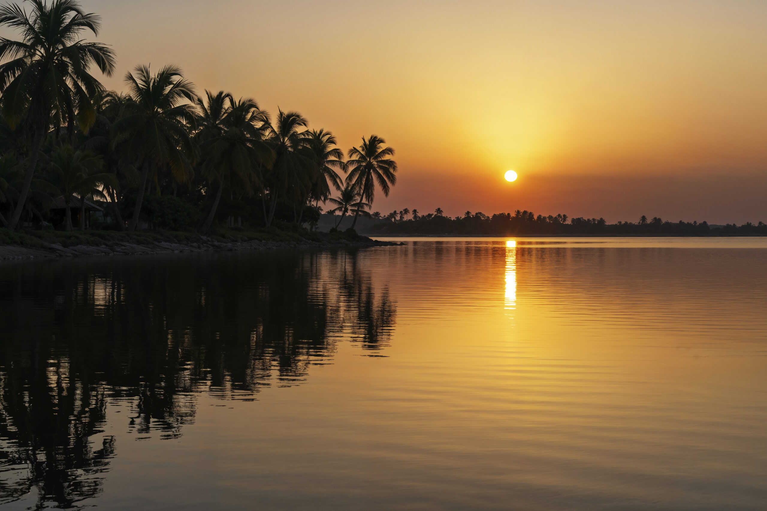 Sundarban Tour 1 Night 2 Days